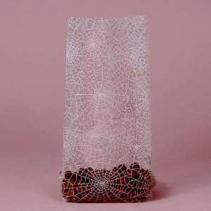  50 Pack of Cello Bags   Spider Web Holiday Theme 