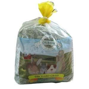  Oxbow Hay and Grass Orchard Grass 40 oz
