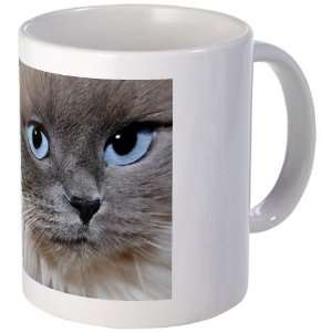 Fancy Cat Pets Mug by  