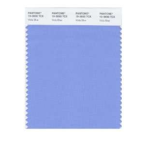   PANTONE SMART 15 3930X Color Swatch Card, Vista Blue