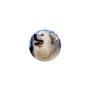  American Eskimo Dog 1in Button C0011 