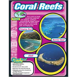 CORAL REEFS Biomes Habitats Science Trend Poster NEW  