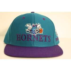  Charlotte Hornets Teal/Purple Two Tone Plastic Snapback 