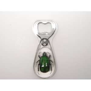  Green Rose Chafer Beetle Bottle Opener Clear