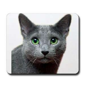  Russian Blue Cat Pets Mousepad by  Office 