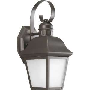   Light Outdoor Wall Lantern, Antique Bronze Finish with Etched Glass