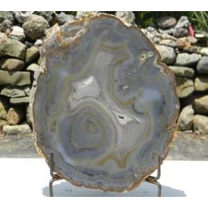Beautiful Sliced Agate Mineral Decorative Specimen from DINOSAURS ROCK 