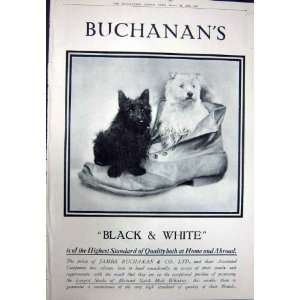  1923 ADVERTISEMENT BLACK BUCHANANS SCOTCH WHISKY