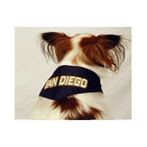  Sports Enthusiast San Diego Sports Dog Bandana (Medium 
