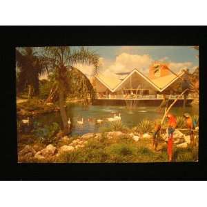  Hospitality House, Busch Gardens, Tampa, FL Postcard not 