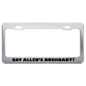 Got AllenS Bushbaby? Animals Pets Metal License Plate Frame Holder 