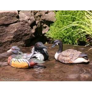  Mini Goose Loon Duck Floaters pool or pond or bird bath 