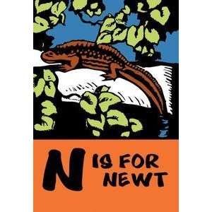  Vintage Art N is for Newt   12438 5