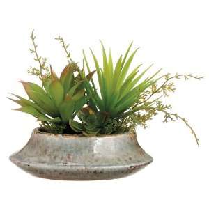  7 Succulent Garden Arrangement in Ceramic Pot Green 