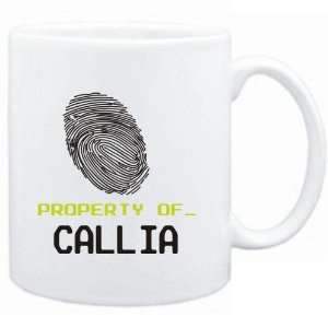  Mug White  Property of _ Callia   Fingerprint  Female 