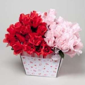  Red and Pink Rose Bushes Case Pack 72