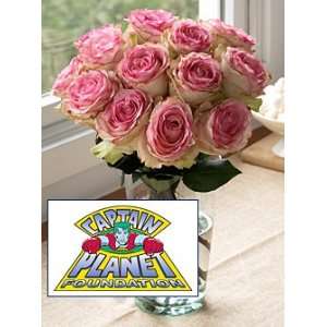 Captain Planet Crown Majesty Roses  Grocery & Gourmet Food