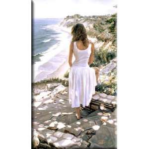    Coastline 17x30 Streched Canvas Art by Hanks, Steve