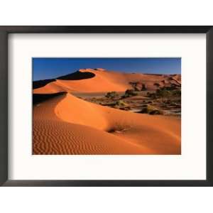  Namib Sand Dunes, Nambia Desert Park, Namib Desert Park 