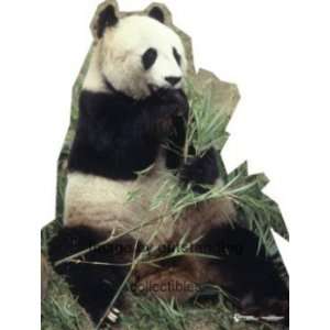  Panda Bear Life size Standup Standee 