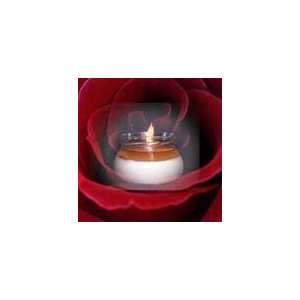  Rose Soybean Candle 