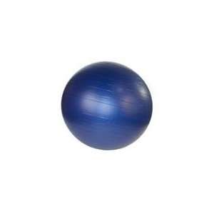  Stability Exercise Ball