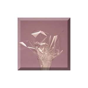  1ea   30 X 100 Cellophane Clear