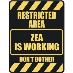   RESTRICTED AREA ZEA IS WORKING  PARKING SIGN