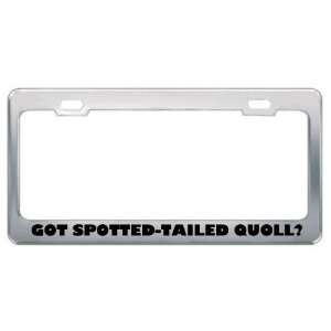  Got Spotted Tailed Quoll? Animals Pets Metal License Plate 