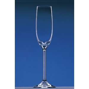  Wine Star Classic Sparkling Wine Glass   5 Oz.   6 Count 