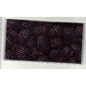  Checkbook Cover Juicy Blackberry Berries 