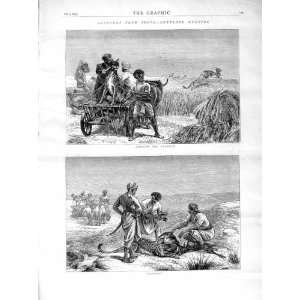  1872 India Antelope Hunting Sport Cheetah Country