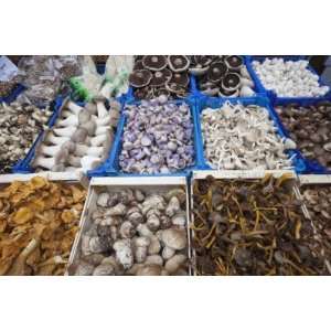   Stall, Mushroom Display by Steve Vidler, 96x144