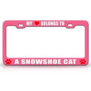  MY HEART BELONGS TO A SNOWSHOE Cat Pet Auto License Plate 