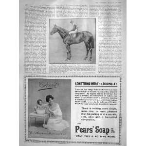  1907 SLIEVE GALLION HORSE CAPTAIN GREER AUSTRALIA PEARS 