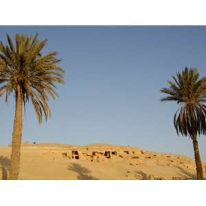  Jabal El Mawta, Oasis of Siwa, Egypt, North Africa, Africa 