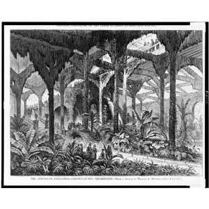    Cincinnati Exposition,horticultural Wm MComas 1874