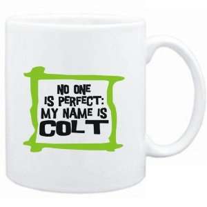    No one is perfect My name is Colt  Male Names