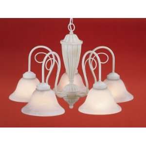    Catalina® 5 Light Chandelier, Compare at $80.00