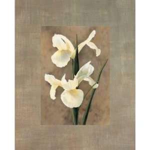 Andrea Trivelli   Iris Size 19.75x23.75 Poster Print 