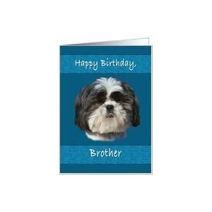  Birthday, Brother, Shih Tzu Dog Card Health & Personal 