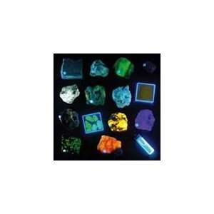  Longwave Fluorescent Mineral Collection Toys & Games