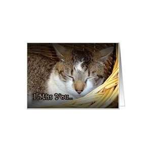 Sleeping Cat    Miss You Card Card