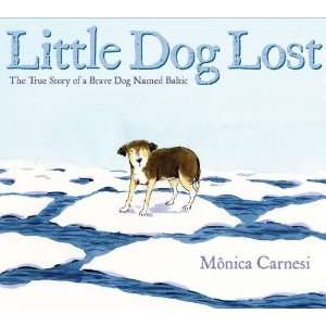  Little Dog Lost The True Story of a Brave Dog Named 