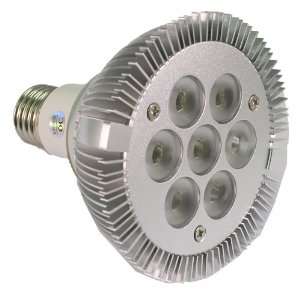 LED   500 Lumens   7 Watt   7 LED PAR30 Bulb   60+ Watt Replacement 