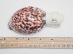 HAND CARVED TIGER COWRIE SEA SHELL NIGHT LIGHT BATHROOM #7332  