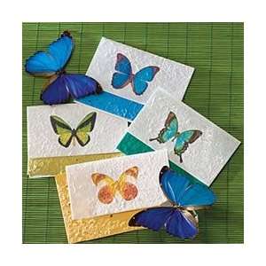  Butterfly Seeded Note Cards Patio, Lawn & Garden