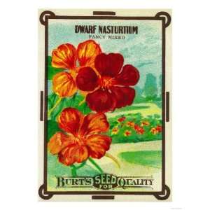  Dwarf Nasturtium Seed Packet Giclee Poster Print