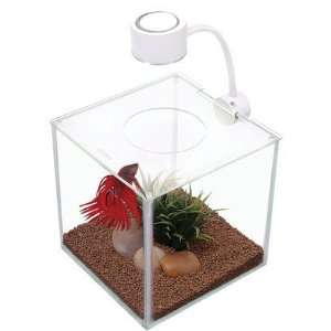 Cubus Glass Betta Kit (Quantity of 1) Health & Personal 