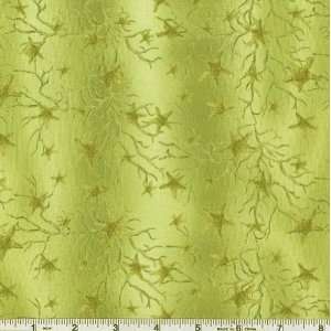  45 Wide Sea Etchings Starfish Sage Fabric By The Yard 